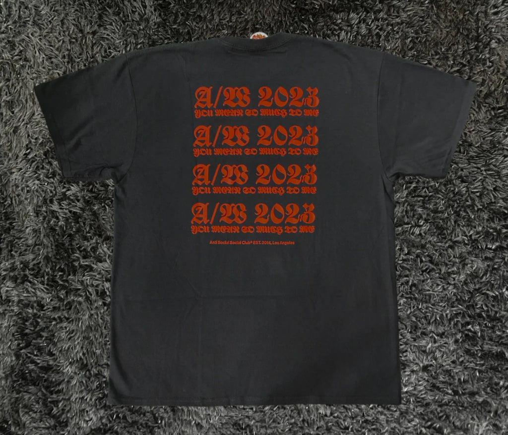 ASSC You Mean So Much To Me Tee